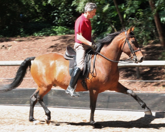 Barrie schooling in the outdoor arena