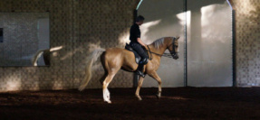 Academyofdressage2