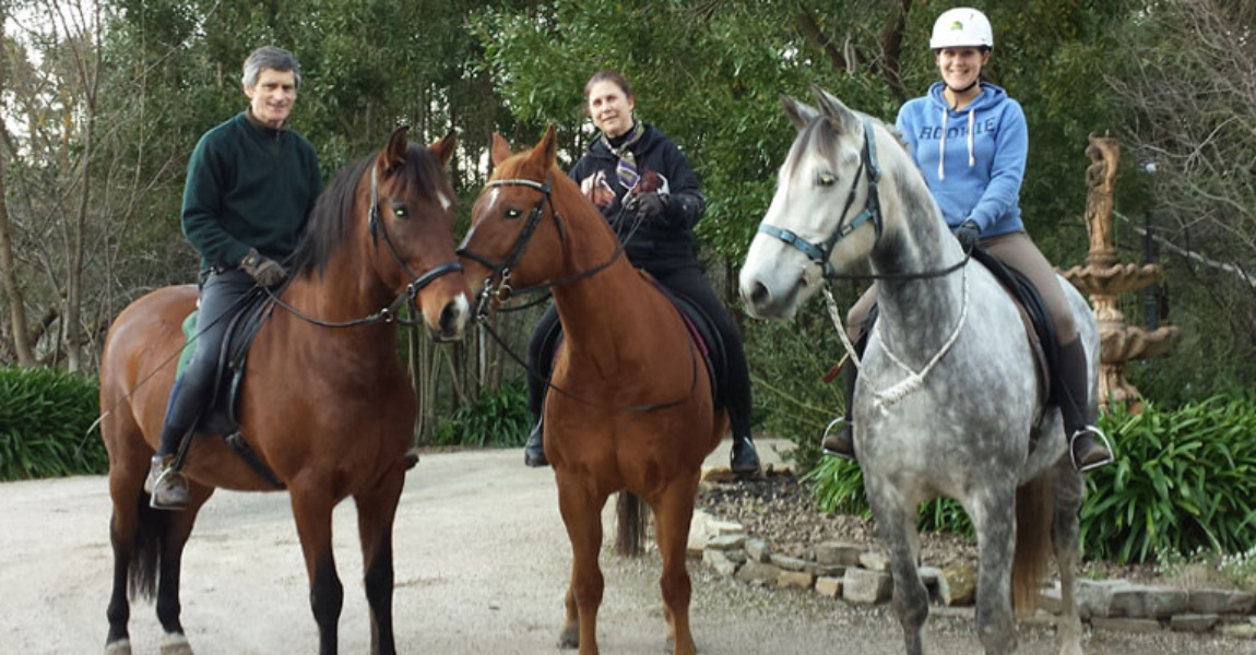 Horse Riding Adelaide Lessons